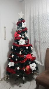 IMG-20231217-WA0010