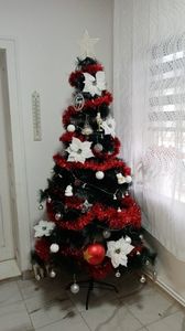 IMG-20231217-WA0004