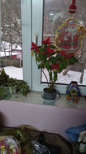 IMG-20231219-WA0000