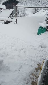 IMG-20231124-WA0005