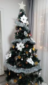 IMG-20221216-WA0000
