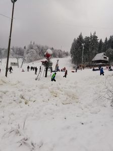 IMG-20201129-WA0029