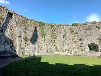 IMG20240726100251