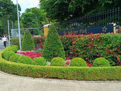 IMG20240727151319