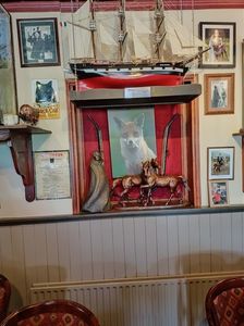 IMG20240727161118