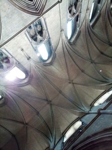 IMG20240728142645