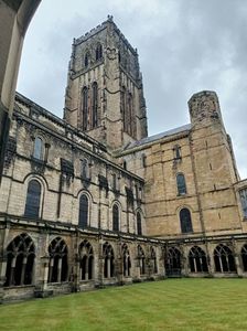 IMG20240801114209