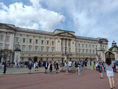IMG20240803112034