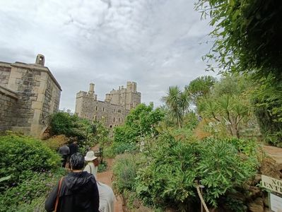IMG20240804115214