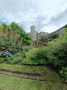 IMG20240804115500