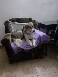 IMG-20240225-WA0004