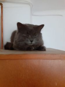 IMG-20240310-WA0004