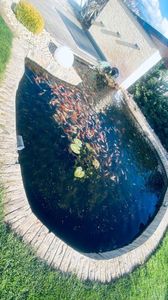 IMG-20240325-WA0021