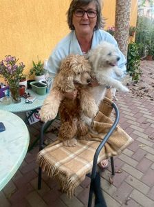 IMG-20231015-WA0018