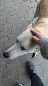 IMG-20231114-WA0002