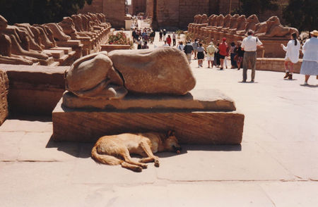 Aleea sfinxilor; Aleea de 3 kilometri care lega Luxor de Karnak
