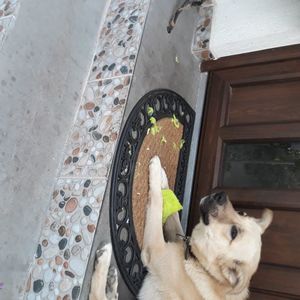 Artă!