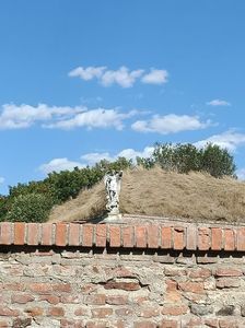 Img.2024.08.12