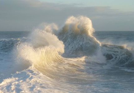 where waters seethe in the middle of the sea – the flower castle erupts, fanned by the wind –; so today i summon you here, – my mob of memories drunk as butterflies
