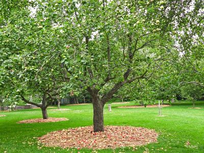 Spadina Garden 1 - Toronto, ON
