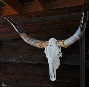 Long Horn ,Buckingham, Canada