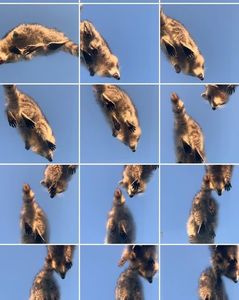 snapped some flicks of the ceiling ‘cause my roommates wildin and makin’ a ruckus; a-hem, pixe&#039;a
