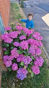 IMG-20240707-WA0015