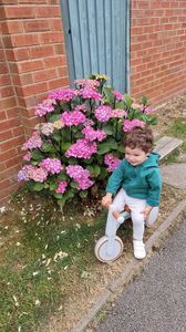 IMG-20240630-WA0005