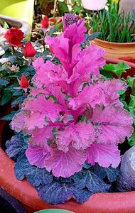 IMG-20240327-WA0005