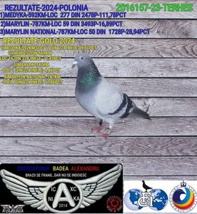 TERHES-2016157-23