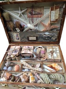 my surviving kit in case of an apocalypse !