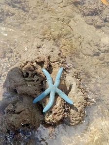 tar på meg parfyme bare for å sitte på stranden hele dagen