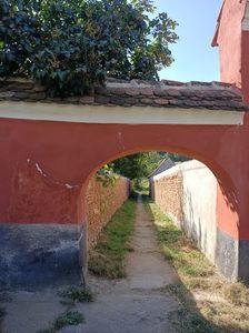 Img.2024.08.23