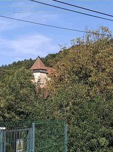 Img.2024.08.23-Copșa Mare