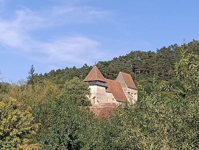 Img.2024.08.23