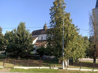 Img.2024.08.23