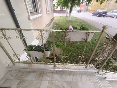 În fața maga