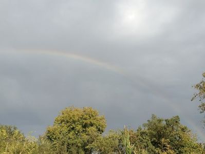 Img.2024.08.22