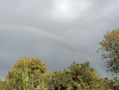 Img.2024.08.22
