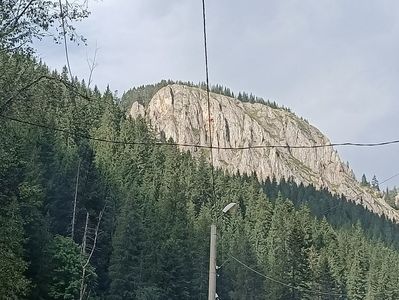 Img.2024.08.21