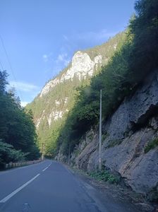 Img.2024.08.21