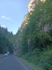 Img.2024.08.21