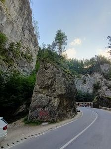 Img.2024.08.21
