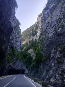 Img.2024.08.21