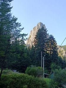 Img.2024.08.21