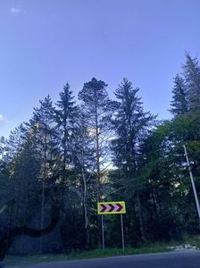 Img.2024.08.21