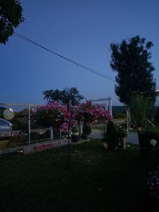 Img.2024.08.21