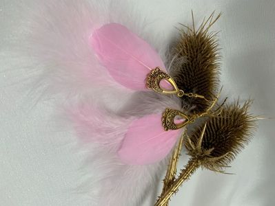 image00048