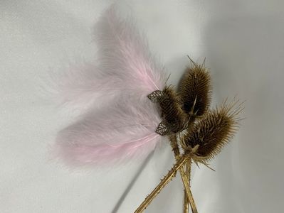 image00050