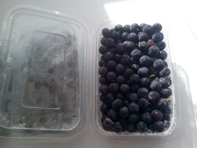 Porumbele; 25 lei kg
